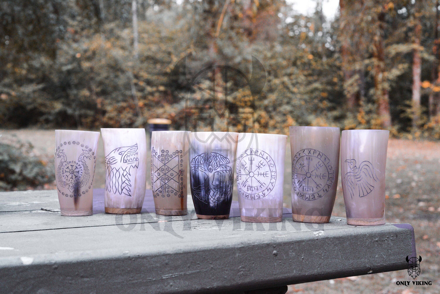 Drinking Horn Beer Stein
