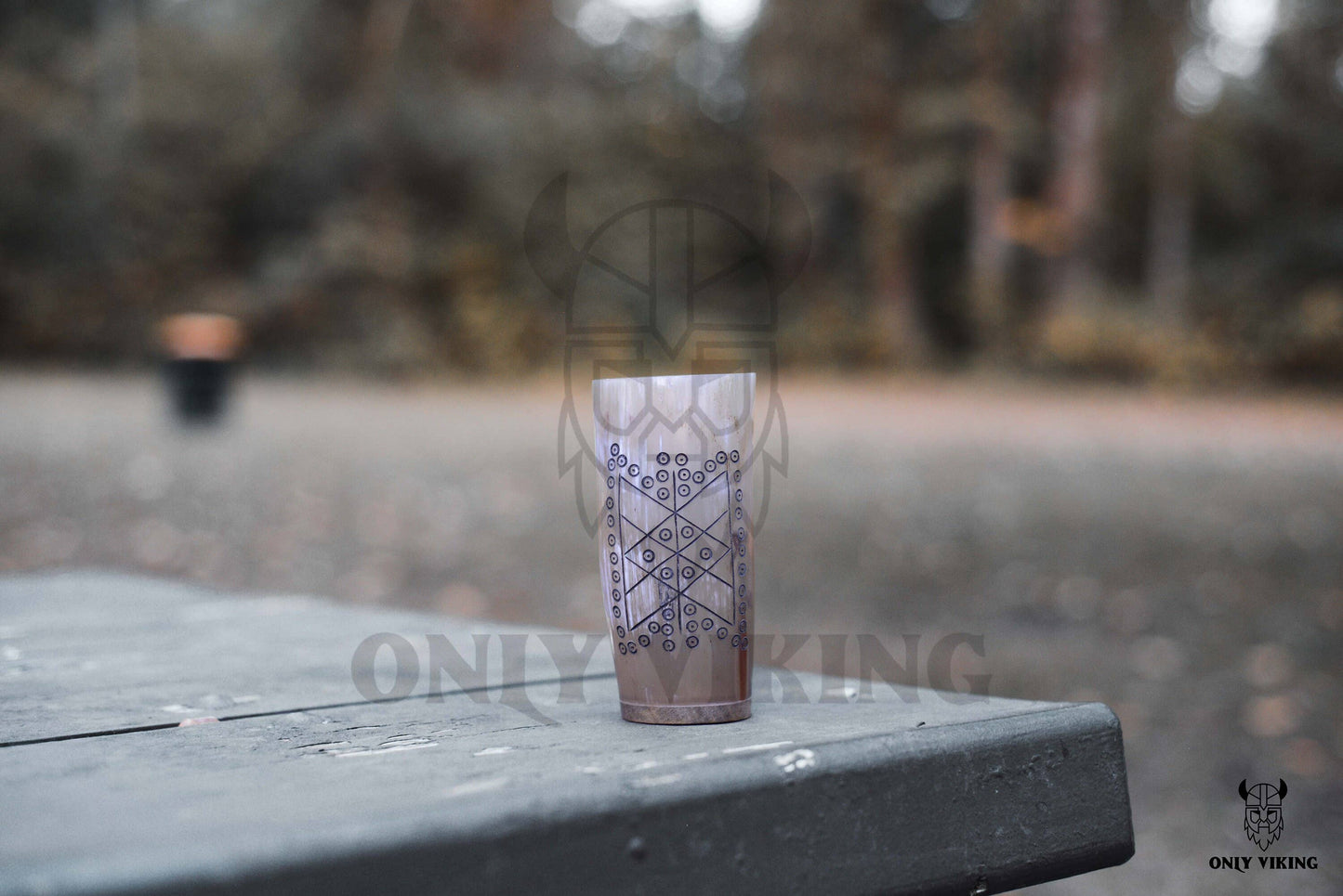 Drinking Horn Beer Stein